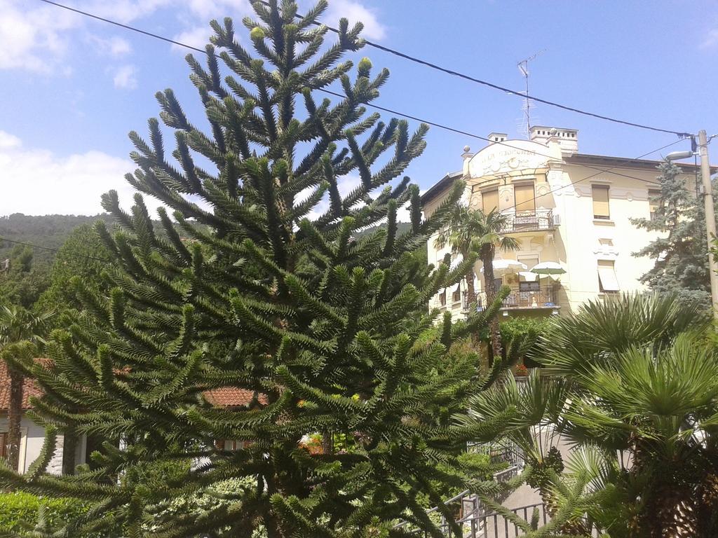 Centar Appartamento *